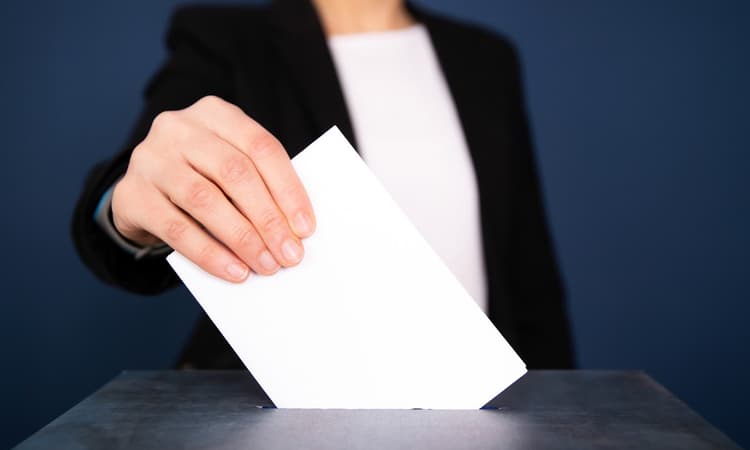 Participate in survey about expat voting and the upcoming local elections
