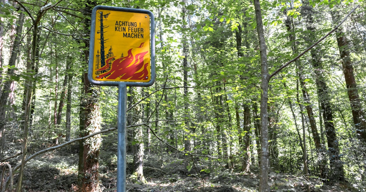 “One spark is enough”: Germany struggles with wildfires across states