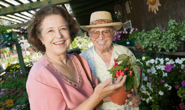 The Netherlands is officially a great place to grow old