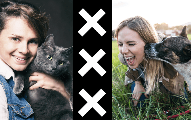 Amsterdam: a cat or dog city?