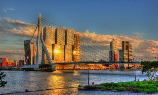 Relocating to Rotterdam: the best neighbourhoods for expats to live in