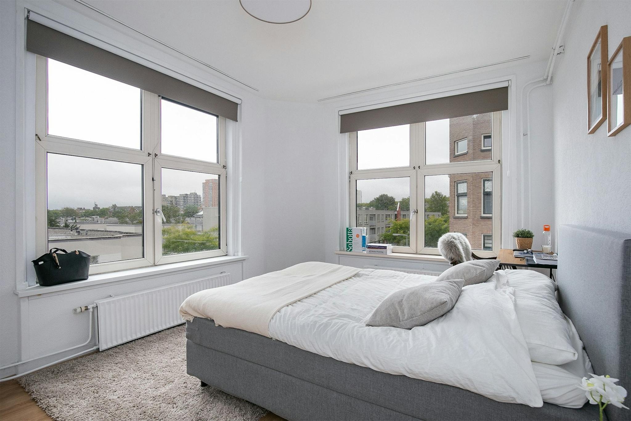 Apartment, Putsebocht, Rotterdam