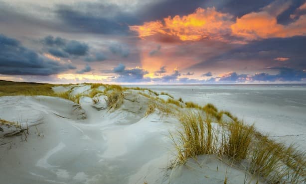 Dutch beaches: The 13 best beaches in the Netherlands