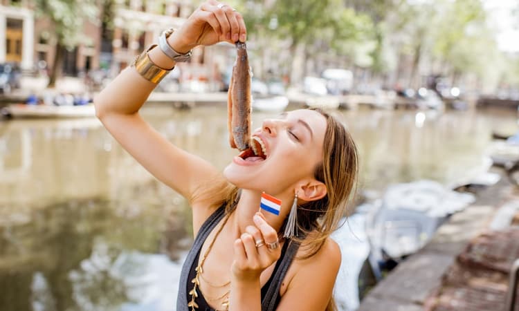 The ins and outs of Dutch culture: Your guide to integration