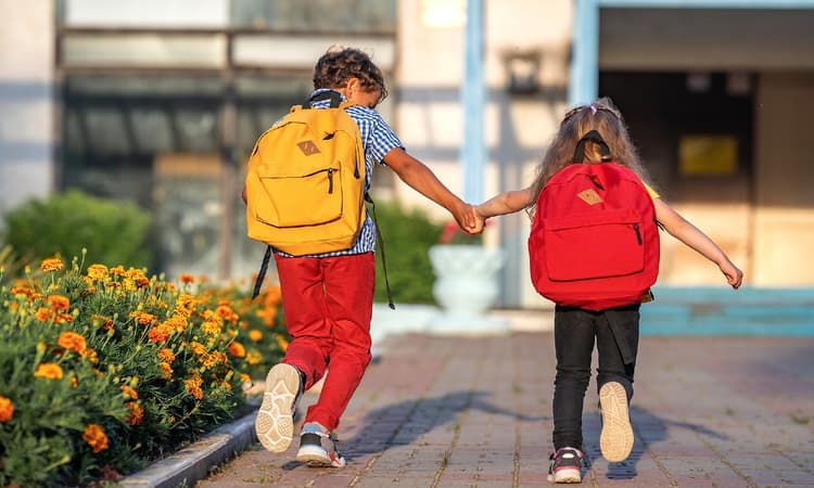 August 2022: 6 things expats in the Netherlands need to know