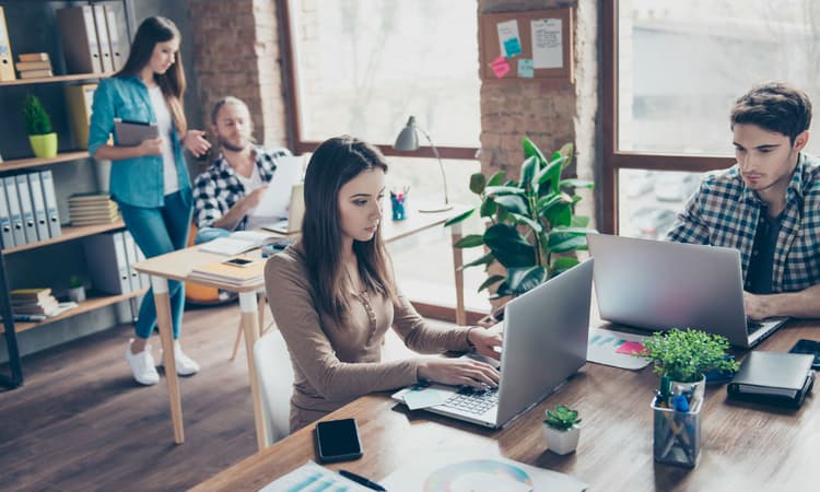 How to get your American business to the Netherlands