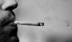 Cannabis increases the risk of depression