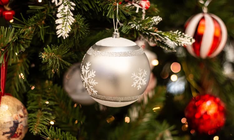 O Christmas tree: Price of artificial trees rising in the Netherlands