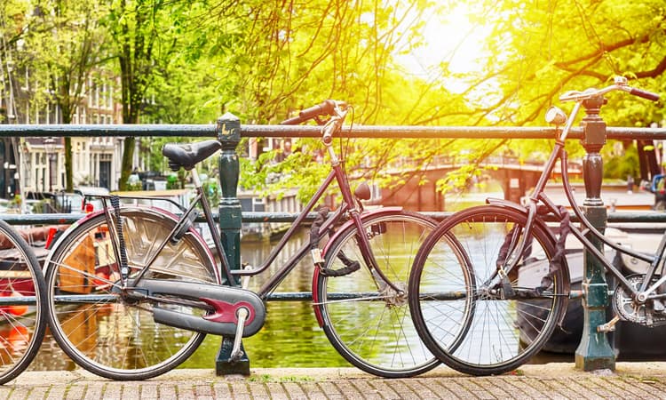 5 ways to find a bike in the Netherlands 