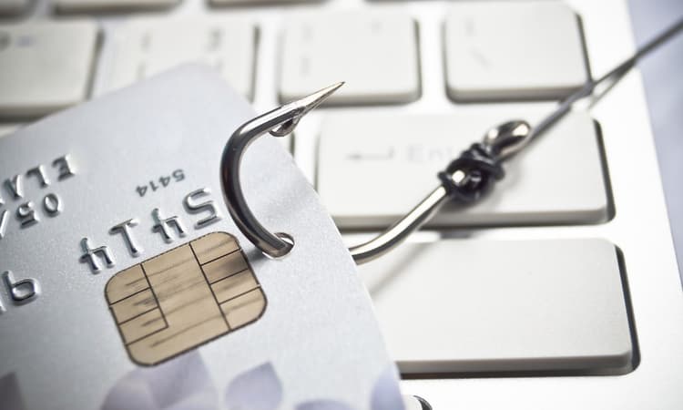 Phishing scams on the up in the Netherlands