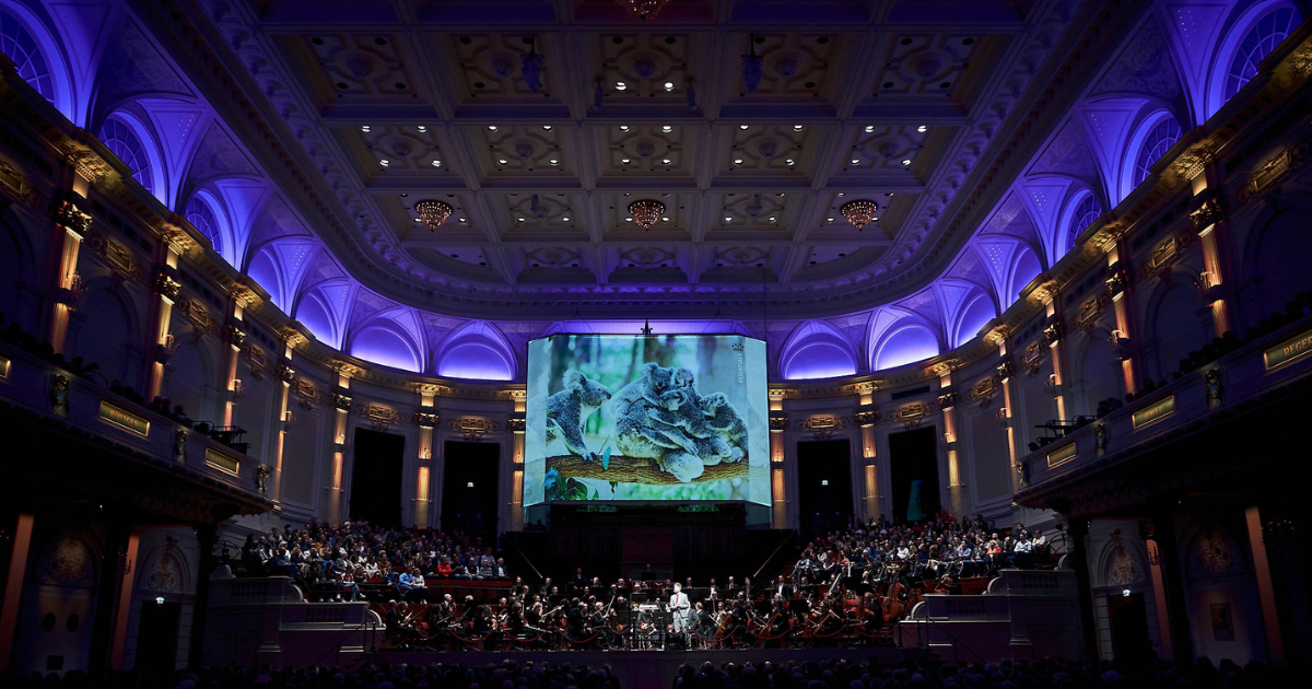 Concertgebouw Essentials Series 2026