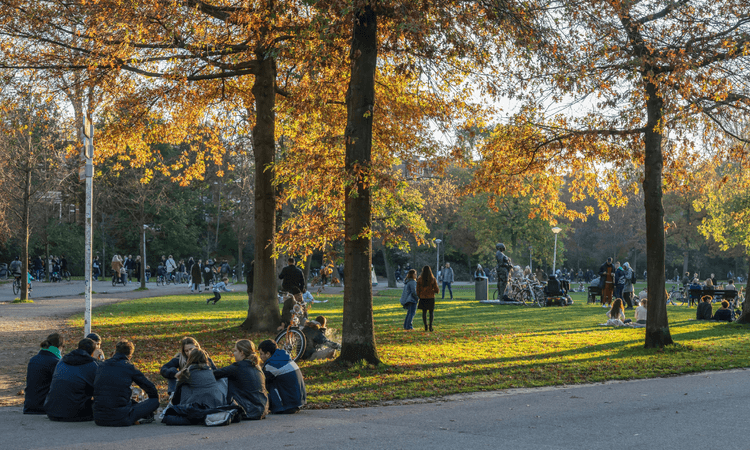 September 2024: 9 things expats in the Netherlands need to know