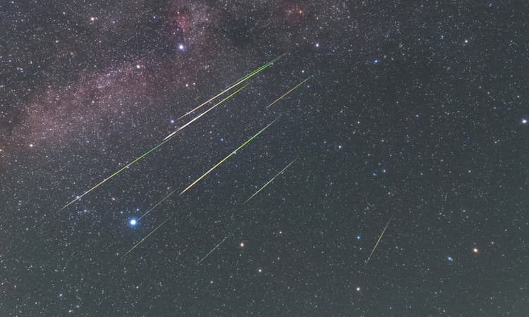 Catch a glimpse of the Perseids meteor shower from the Netherlands