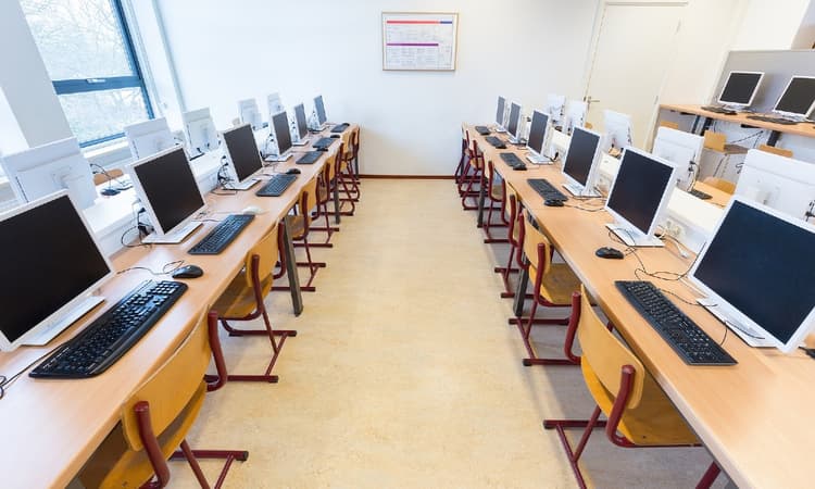 Dutch government halves tuition fees for students in the Netherlands