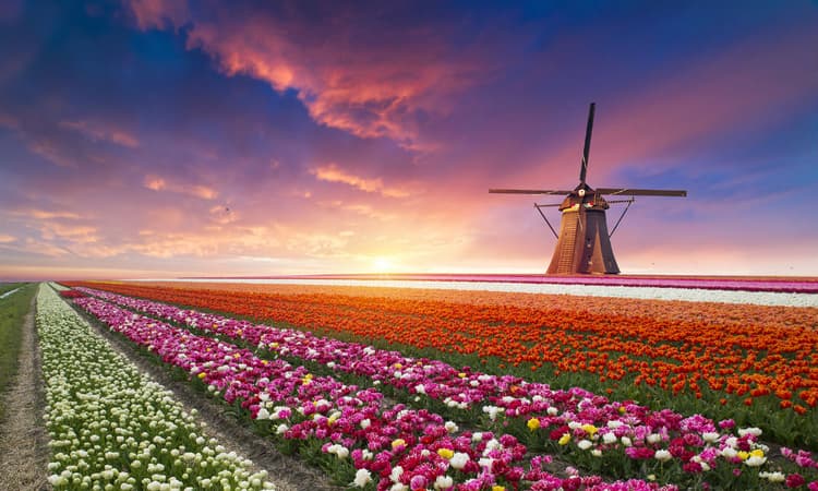 [Video] Top 10 must-sees in the Netherlands