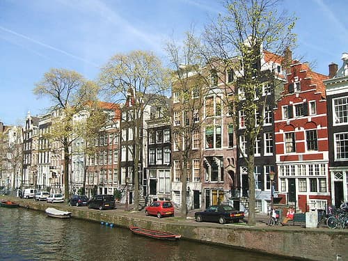 Rent or buy?