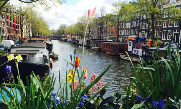 10 things to love about life in the Netherlands