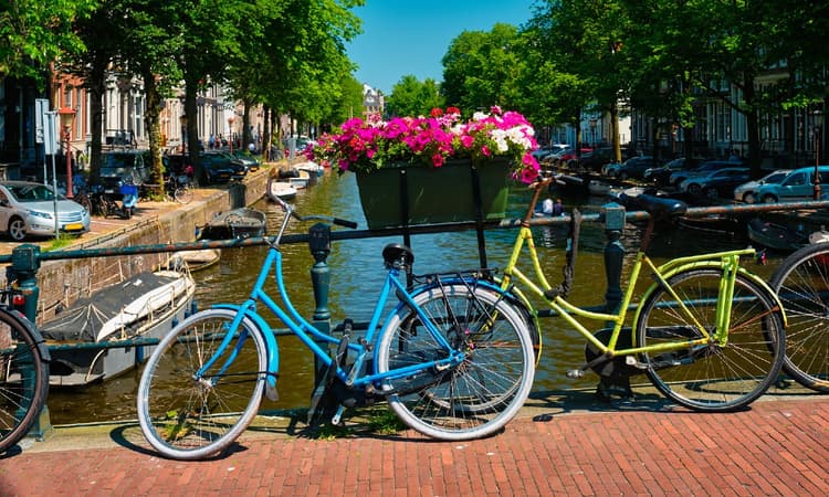 Brexit: How to secure your right of residence and work in the Netherlands in 2021