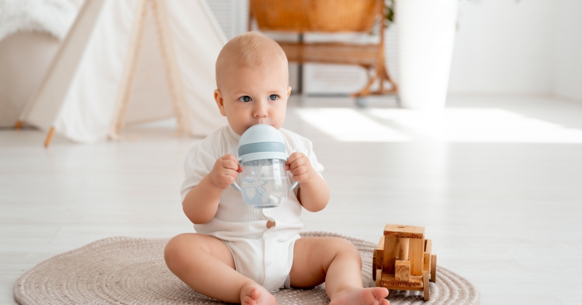 Berlin-Brandenburg schools trial "Baby-Watching"