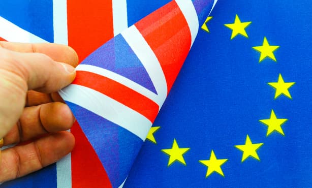 Brexit for Brits in the Netherlands: Take action early!