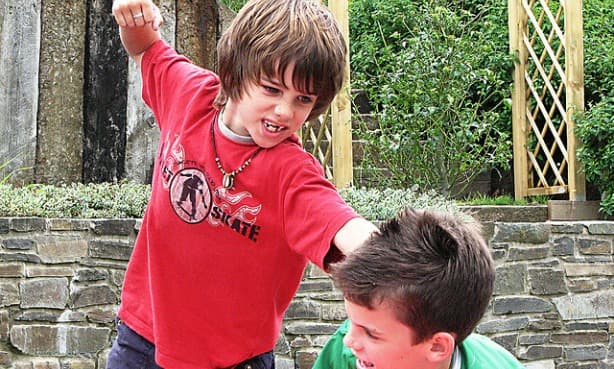 Finnish anti-bullying programme in Dutch schools hugely successful