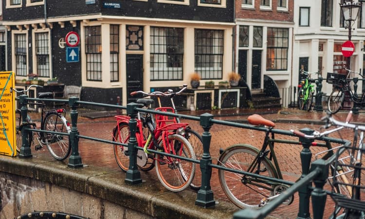 5 things to do on a rainy day in Amsterdam
