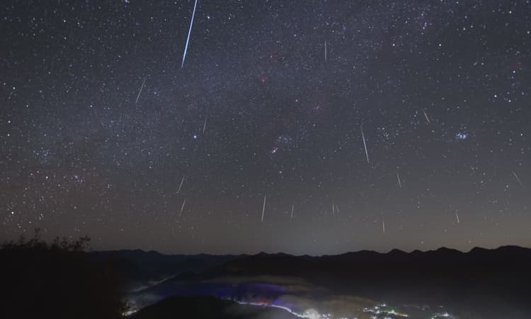 Ursids meteor shower to bring a spectacular Christmas show to the Netherlands
