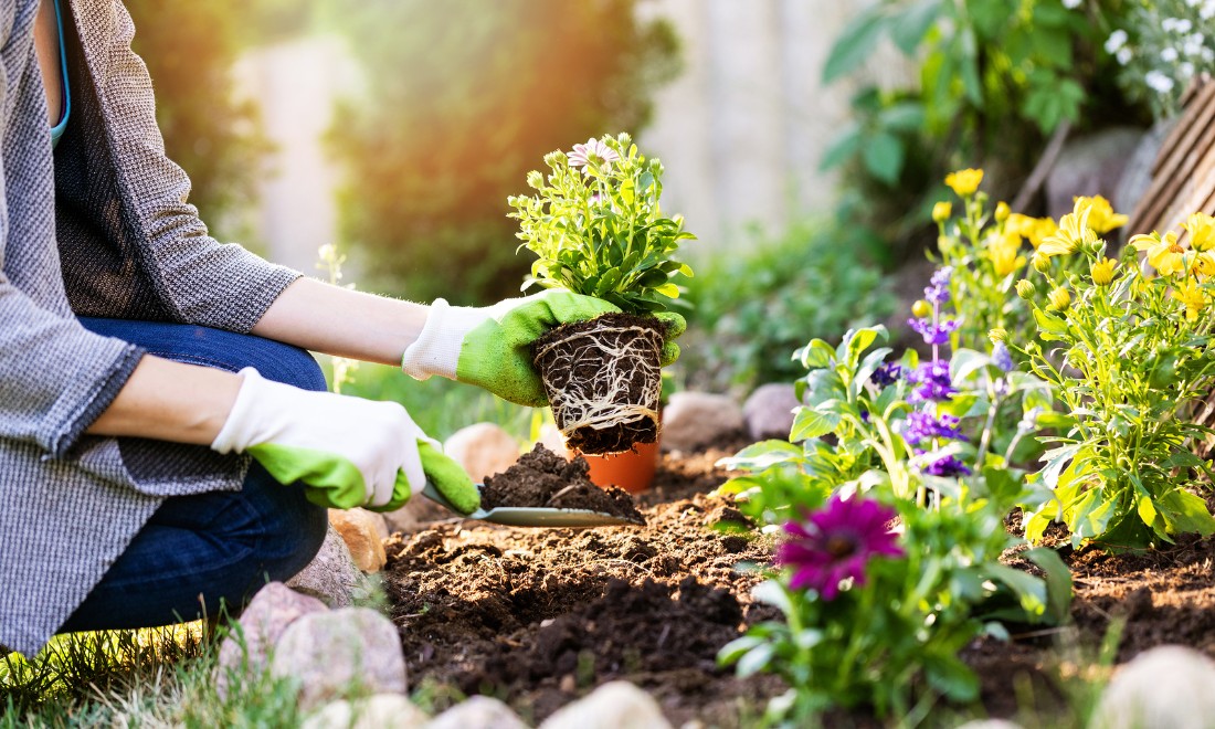 5 hobbies you should take up today