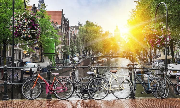 NGOs in Amsterdam: Helping to make the world a better place