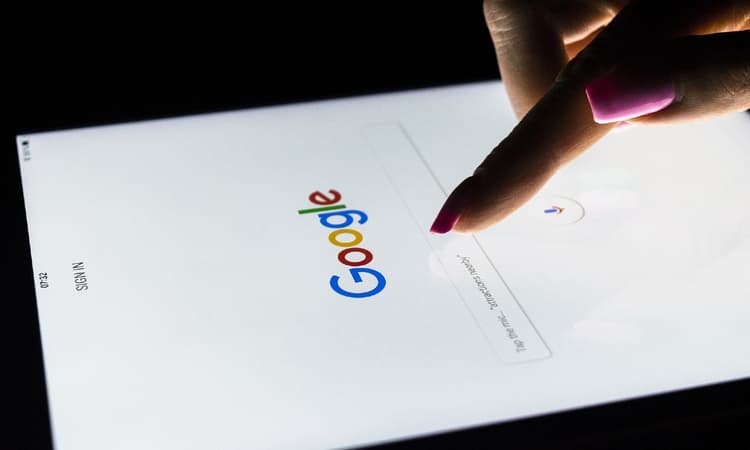 Find out what the Netherlands Googled in 2021