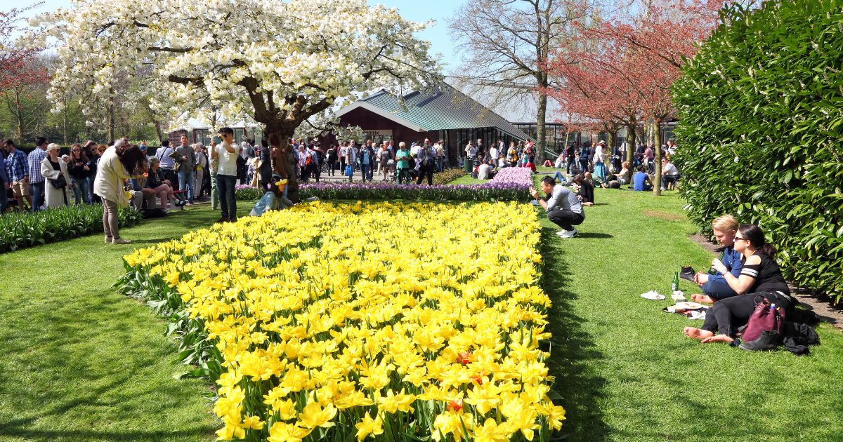 May 2026: 8 things expats in the Netherlands need to know