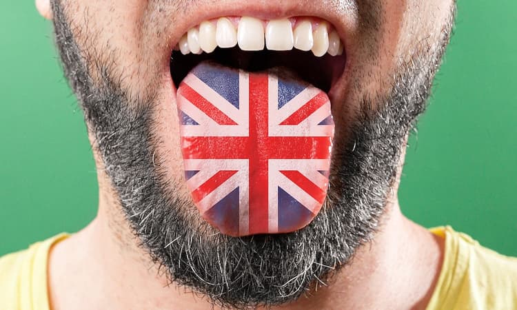 Why speaking English could be your biggest asset for learning Dutch fast