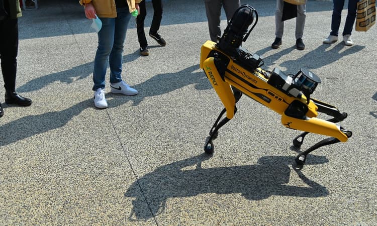 Robodog to the rescue: Rotterdam station tests out new four-legged robot