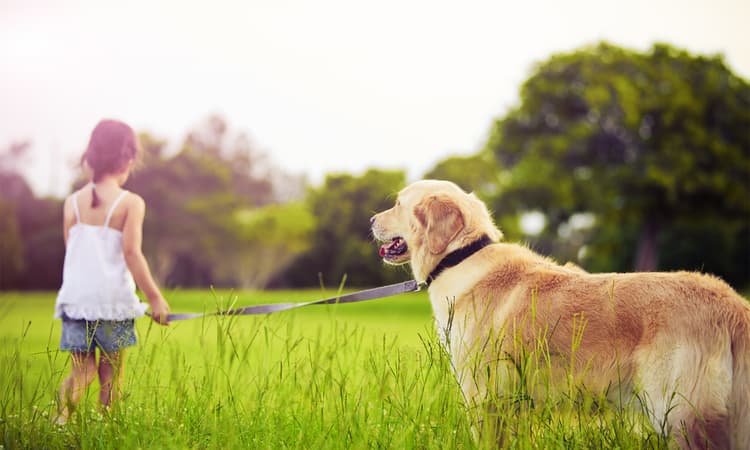 SnoepDog: a multimedia poop bin