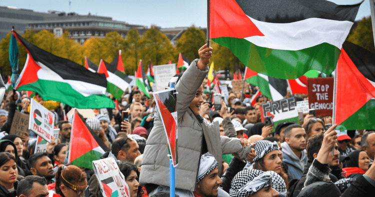 Protest against Dutch government’s stance on Israel the largest demo in 20 years