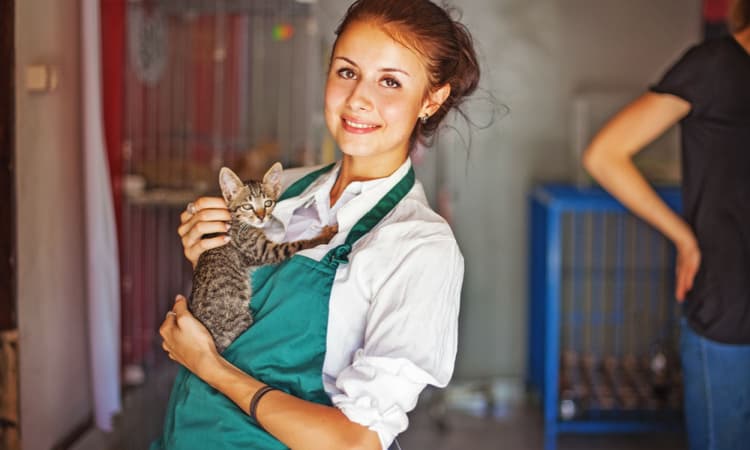 Volunteering in the Netherlands: What to expect