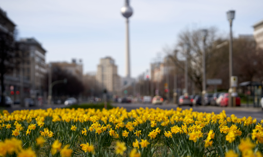 March 2024: 10 changes affecting expats in Germany