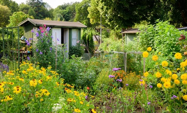 Volkstuinen: The allotments of the Netherlands
