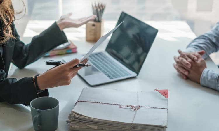 The Career Spark: A guide to finding a job in the Netherlands