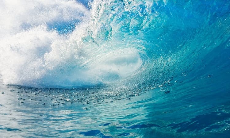The wave of joy