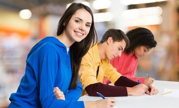 Language teachers criticise naturalisation exam in the Netherlands
