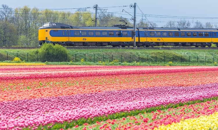 Public transport adapted to the 1,5-metre society could cost over a billion euros