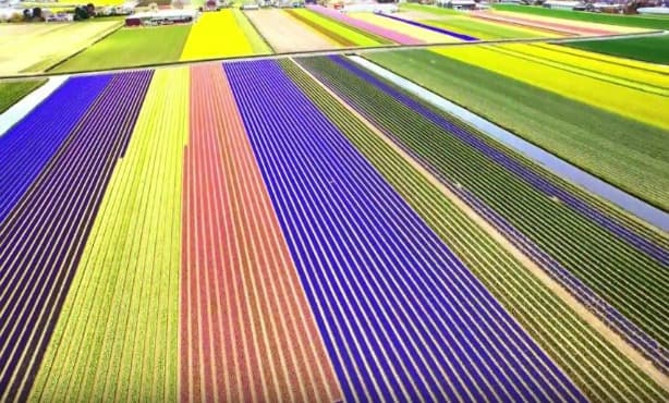 A beautiful bird's-eye view of the Netherlands