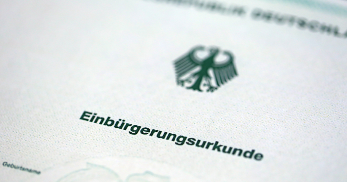 How common are falsified German citizenship applications?