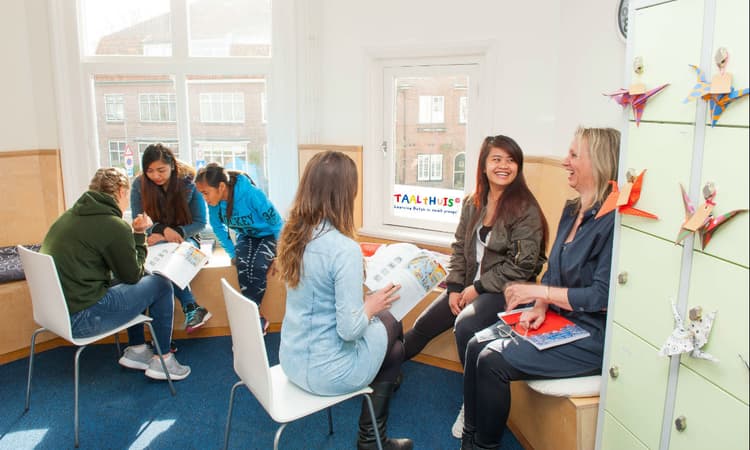Eight solid reasons to learn Dutch