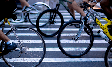 30 percent of Dutch households do not own a car