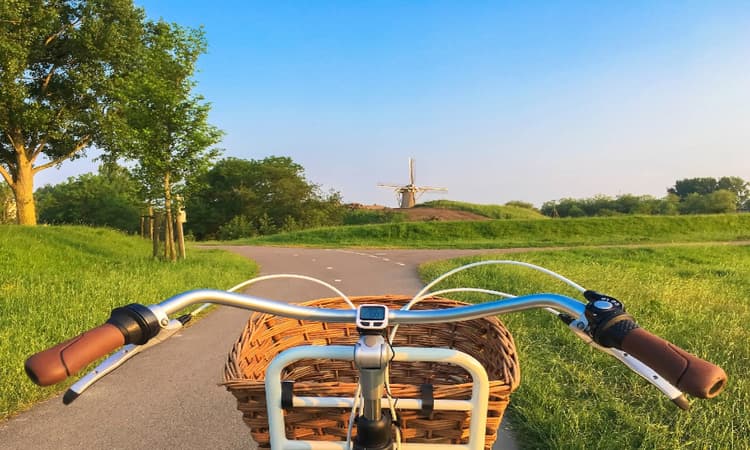 Five things the Netherlands does best