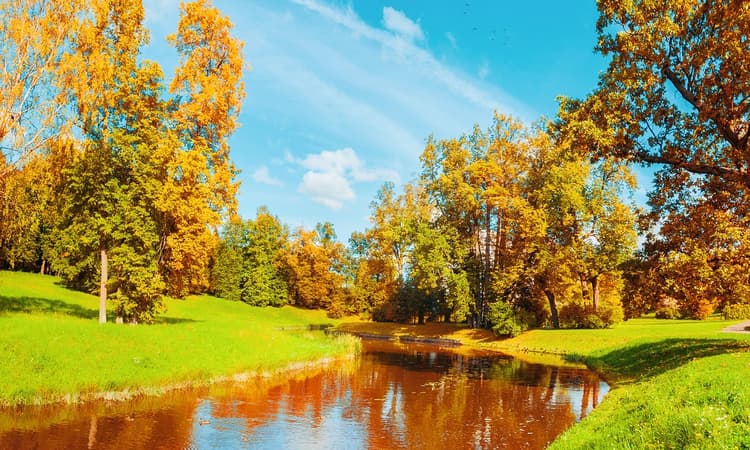Summer weather expected to return to the Netherlands next week