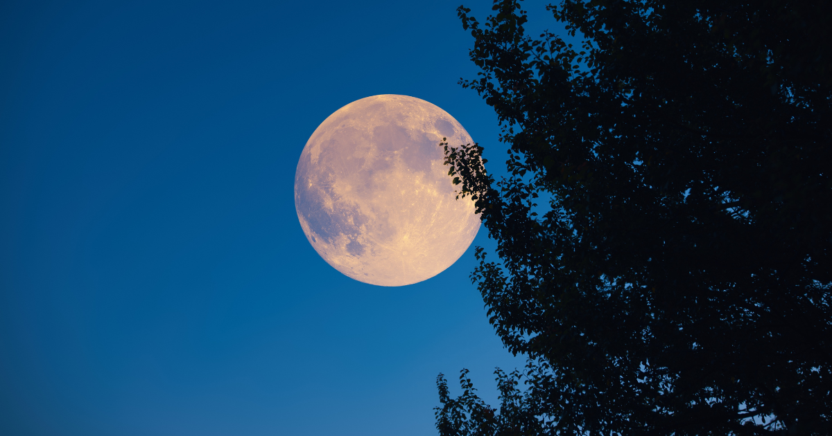 Harvest moon and Saturn to light up German skies on Sept 26
