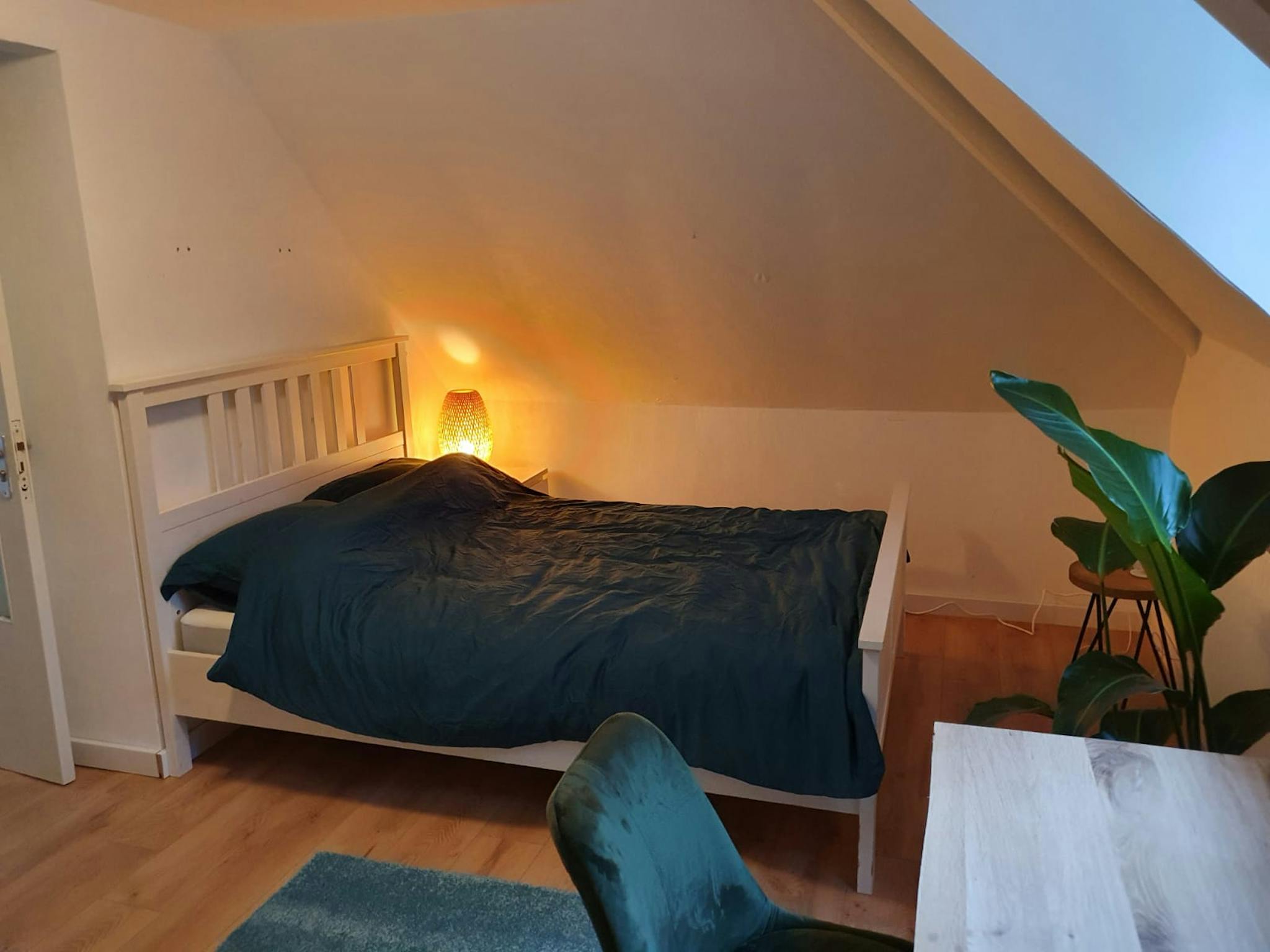 Apartment, Blommersdijkselaan, Rotterdam